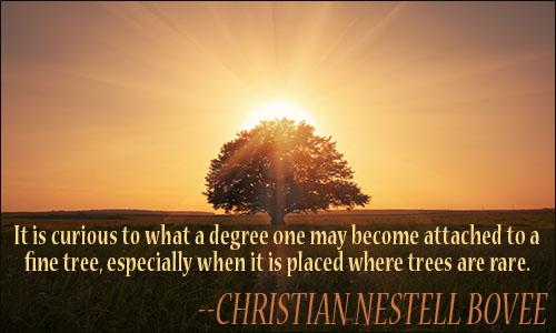 Trees quote